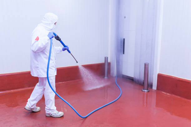 Best Soft Washing  in Bingham Farms, MI