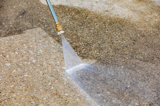 Best Animal Enclosure Cleaning  in Bingham Farms, MI